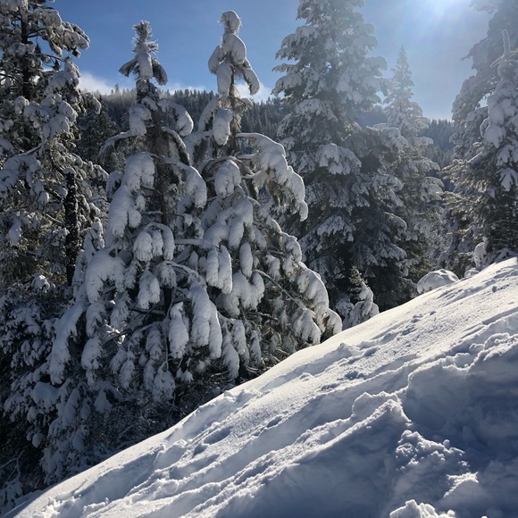 Meet your Posher, Sabrina - Picture 1 of 1